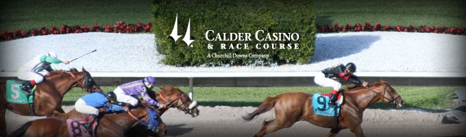 track_calder.JPG